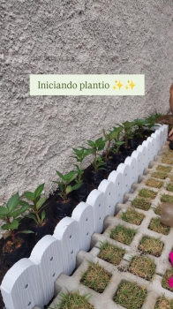  meio fio madeira